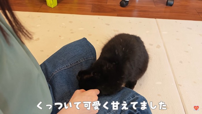 赤ちゃんが帰ったら甘えん坊に