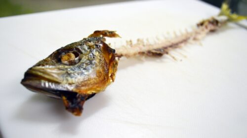 魚の骨