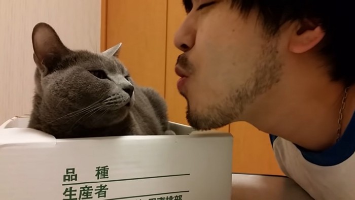 猫に唇を近づける飼い主さん