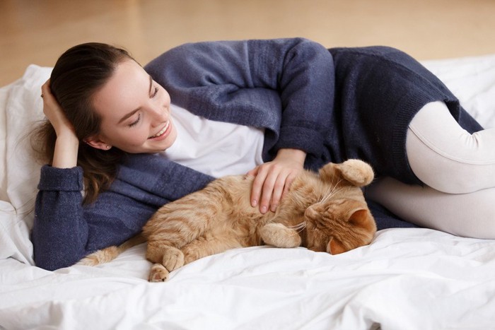 女性に甘える猫