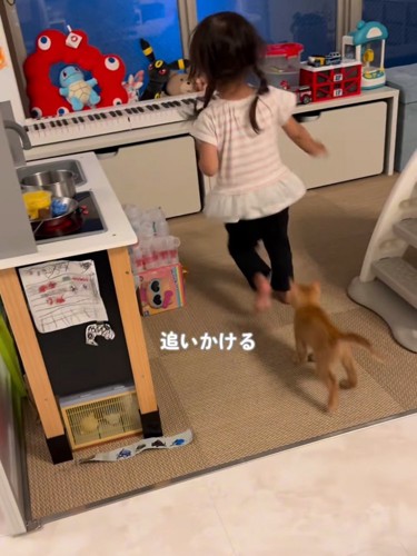 子どもの後を走る子猫