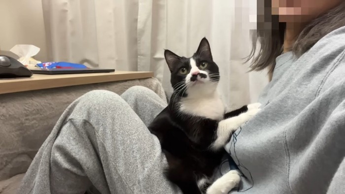 隙間に挟まる姿