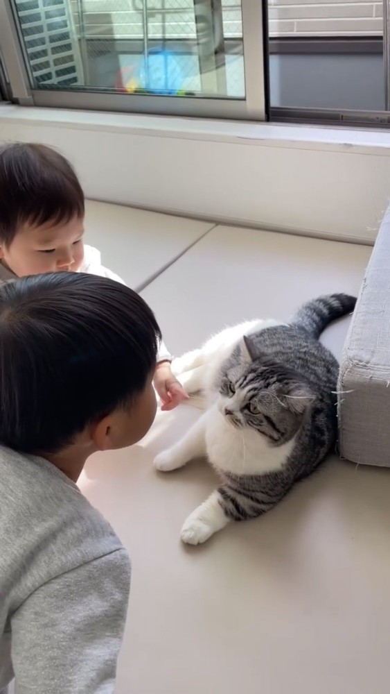 遊ぶ赤ちゃんと猫