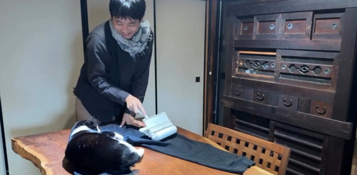 服の毛を取る飼い主と猫