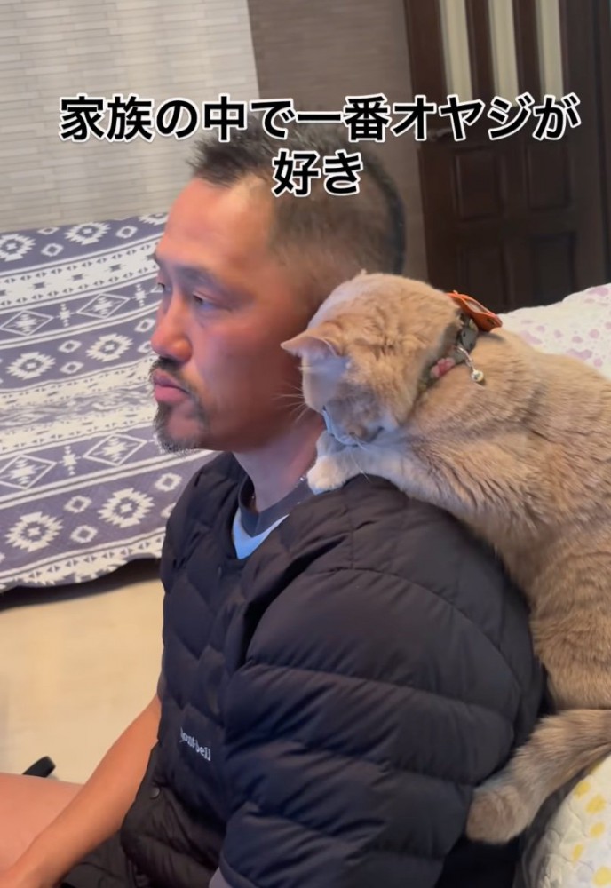 頭を擦り付ける猫