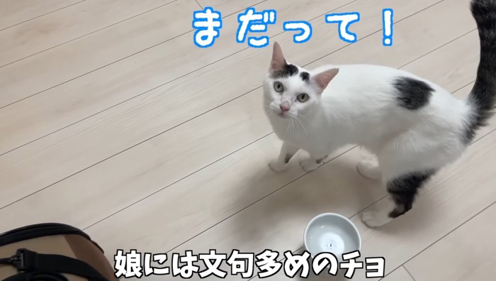 まだって!