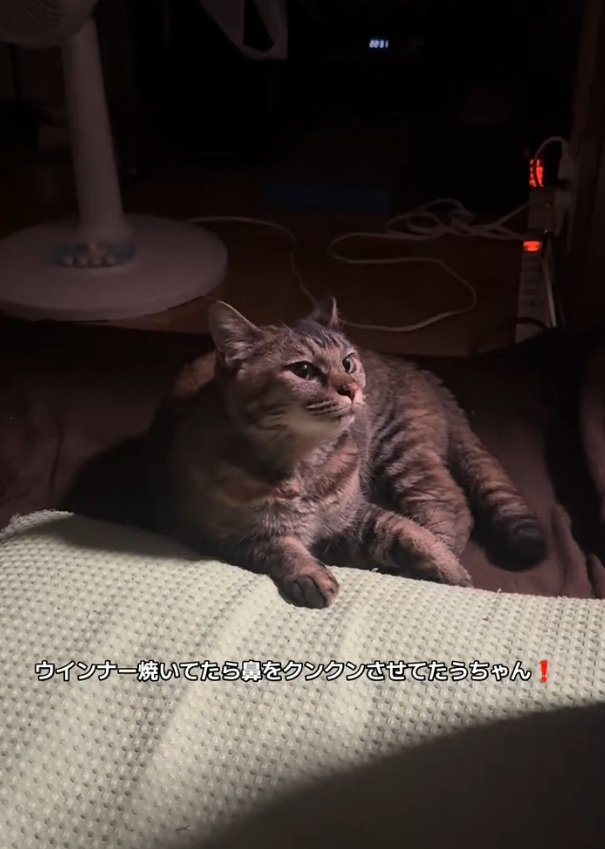 横を向く梅干しちゃん