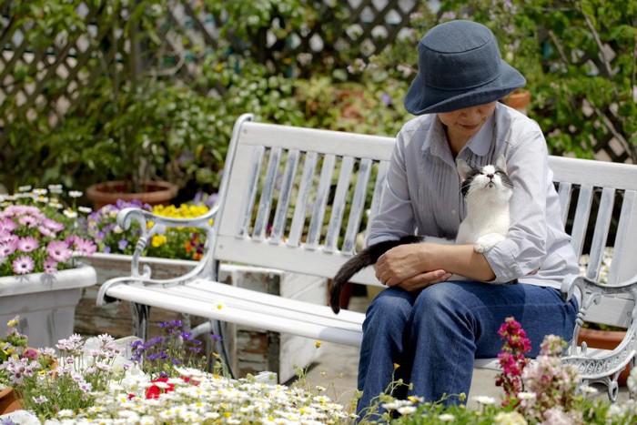 猫と花畑と人