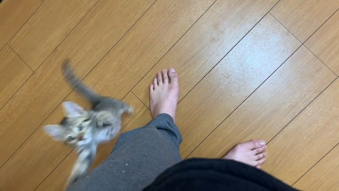 ジャンプ