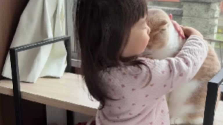 猫と女の子