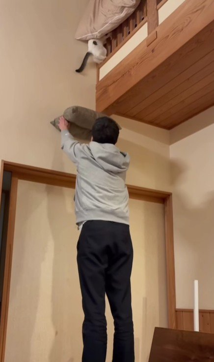 座布団を掲げる飼い主と猫