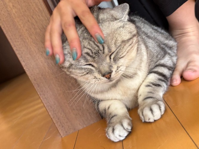 嬉しそう