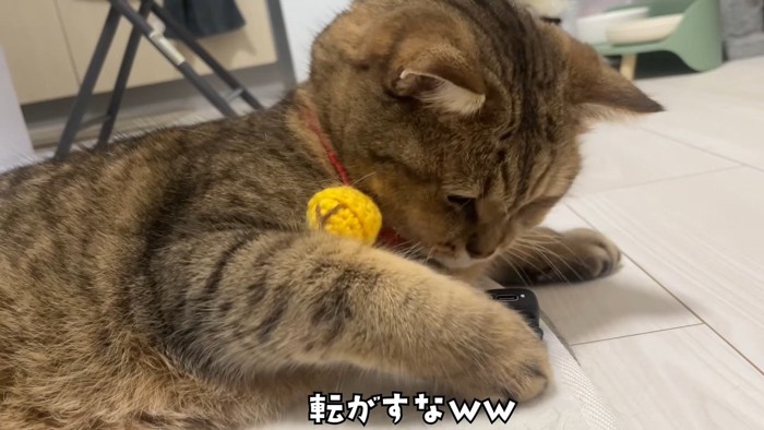 転がすなww