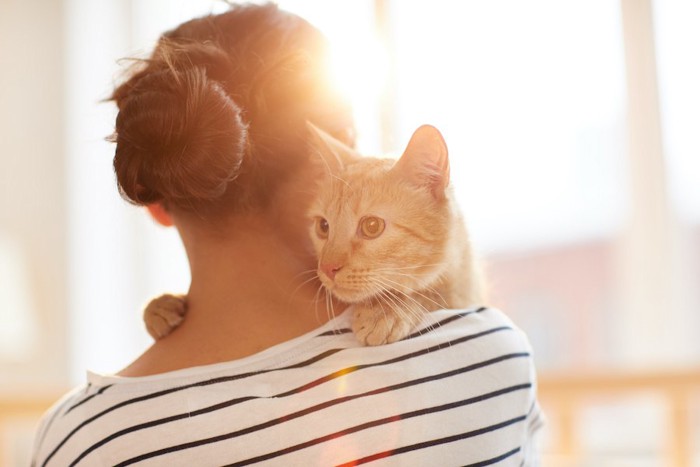 飼い主に抱っこされてしがみつく猫