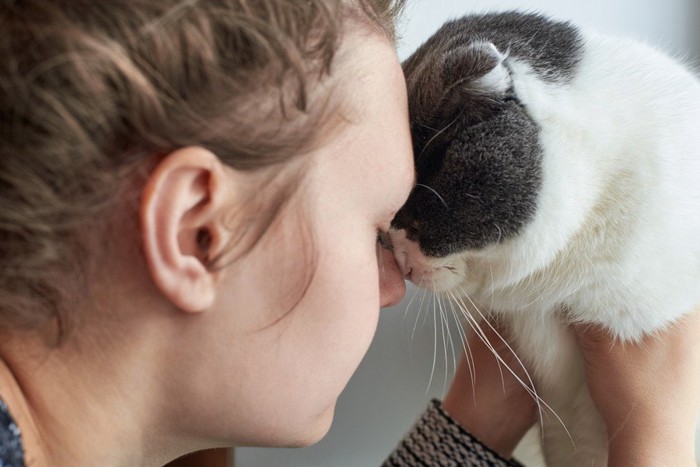 おでこを付ける女性と猫