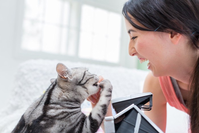 カメラを持つ女性と猫