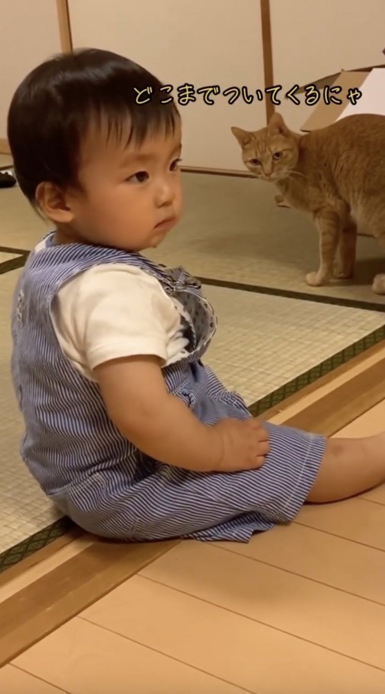 追いかけてくる子供をみる猫