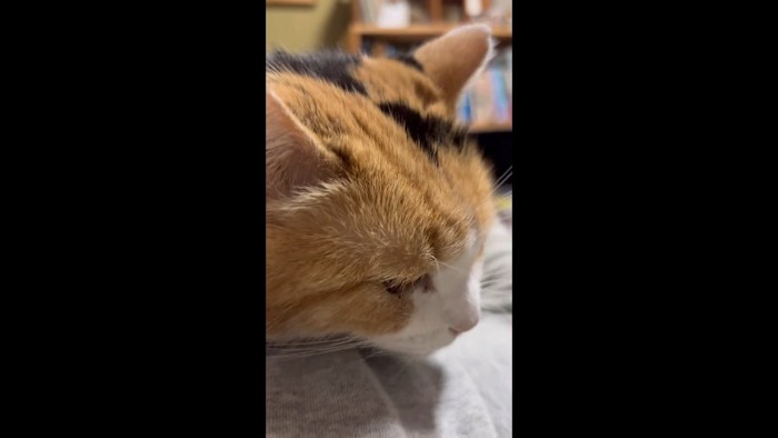 右下を向いて