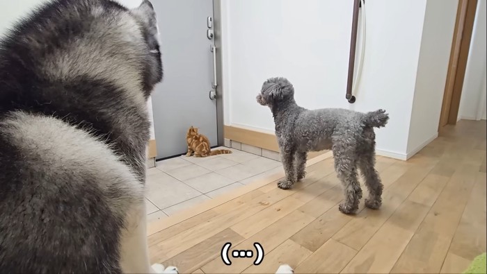 ドアを見つめて