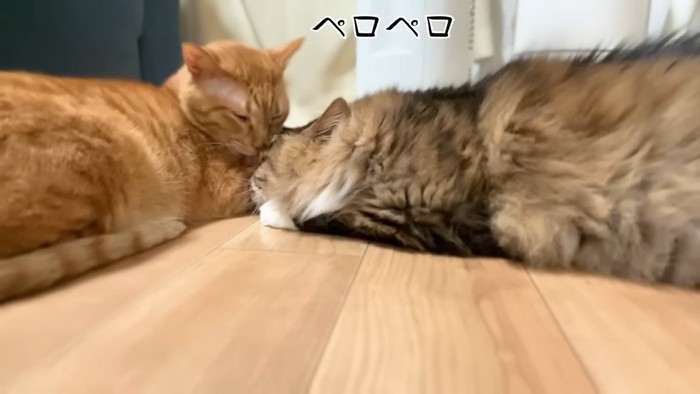 ペロペロ