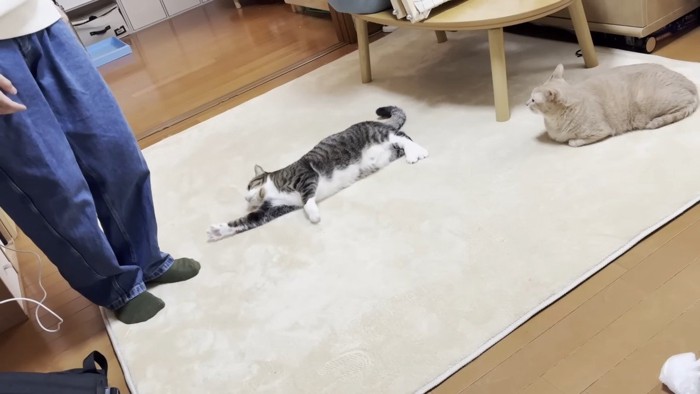 2匹(前足を伸ばした姿)