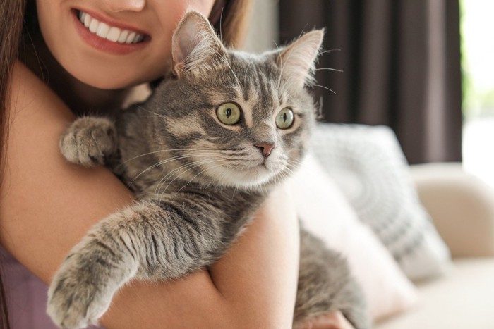 猫を抱っこする女性