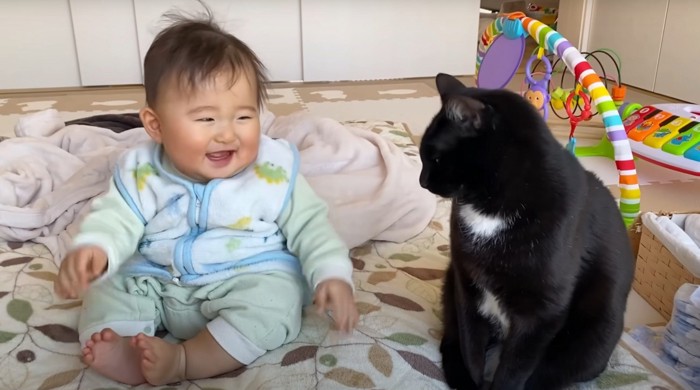 見つめ合う赤ちゃんと黒猫