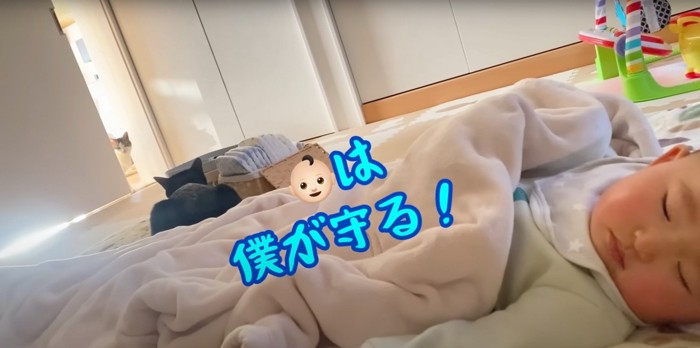 赤ちゃんを守るくまごろうくん