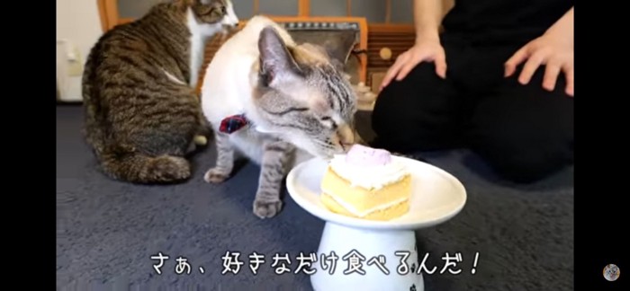 ケーキ