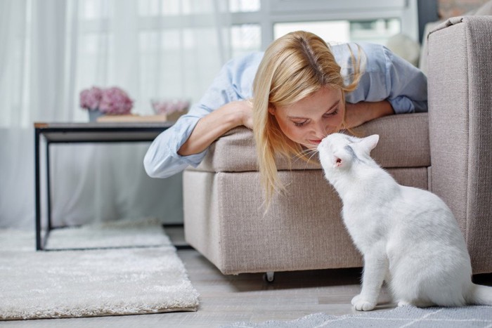 女性とキスする猫