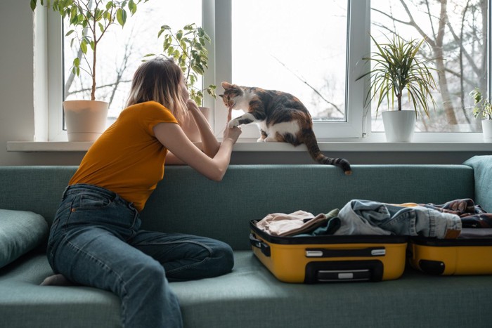 荷造り中の女性と猫