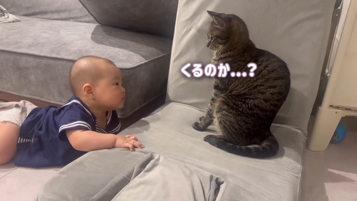 くるのか…？