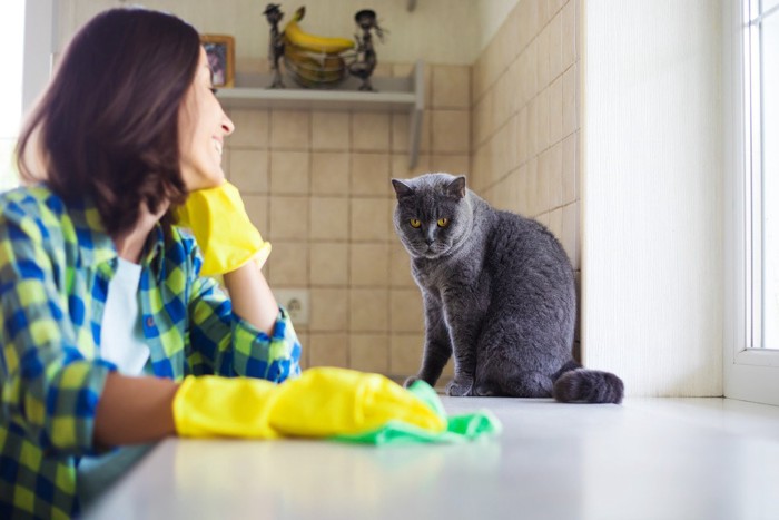 掃除している女性と猫