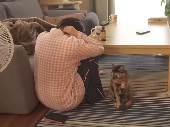 座っている人と猫