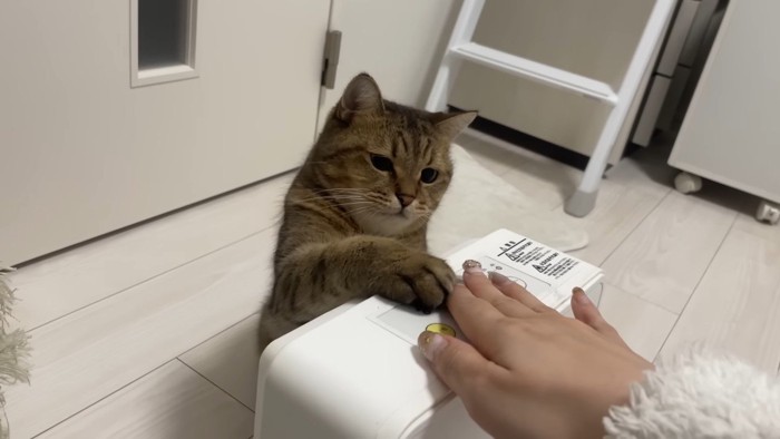 ふたりでタッチ