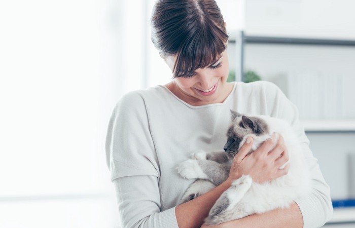 女性に抱かれている猫