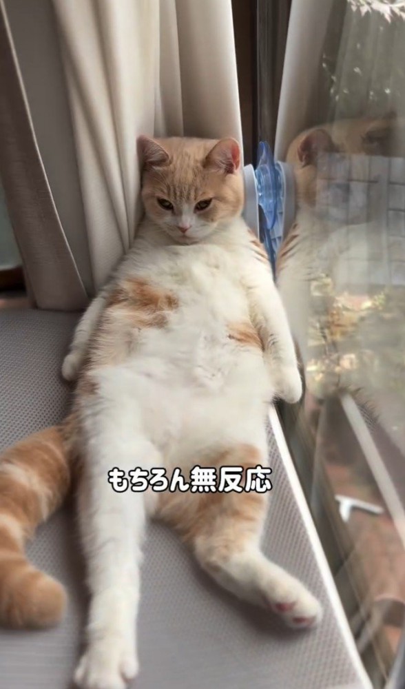 「もちろん～」と書かれた写真