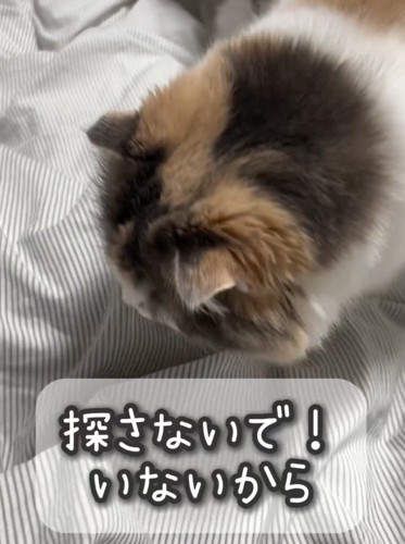 飼い主さんも徐々に怖くなってきたようで…