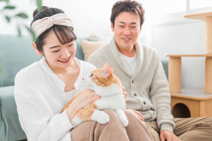 猫と遊ぶご夫婦