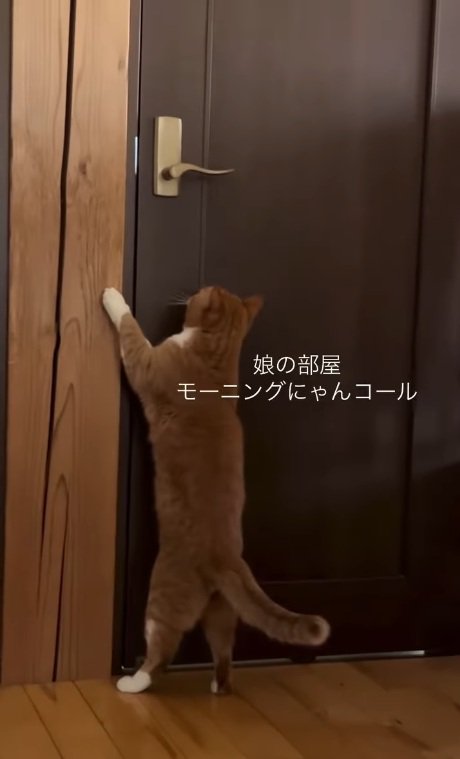 ドアに手をかけるだいきちくん