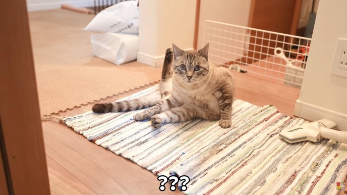 テロップ「???」