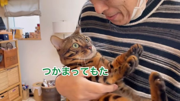 抱っこされる猫