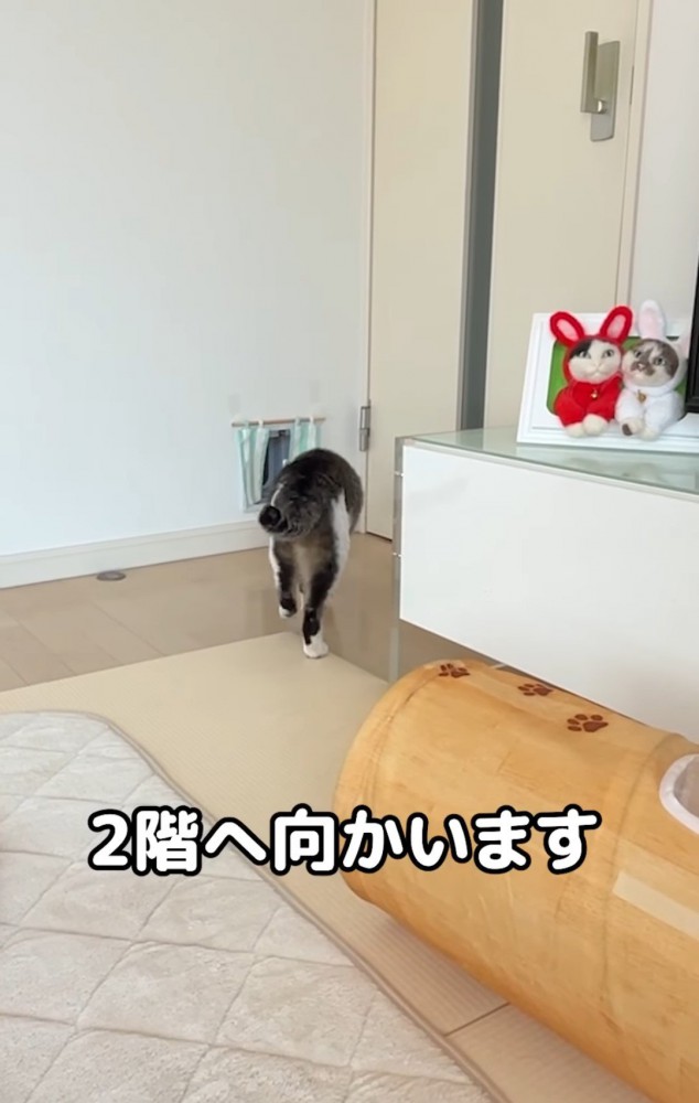 部屋を出る猫の後ろ姿