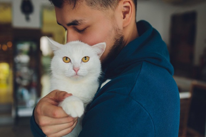 .大切そうに猫を抱き抱える飼い主