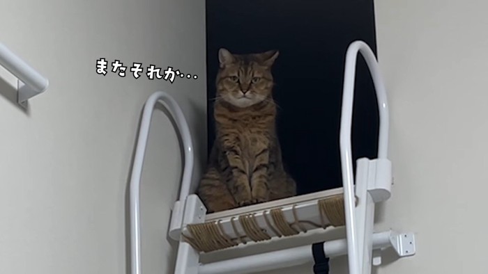 またそれか…