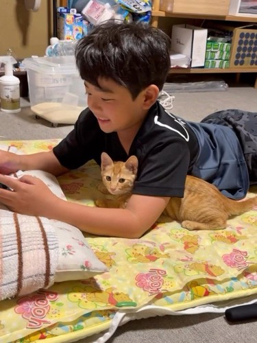 男の子の脇の下にいる子猫