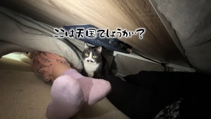 ここは天国でしょうか…？