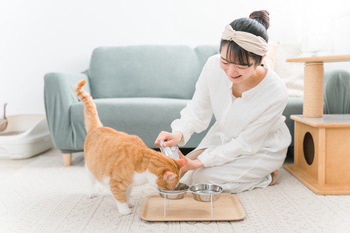 猫にフードを与える女性