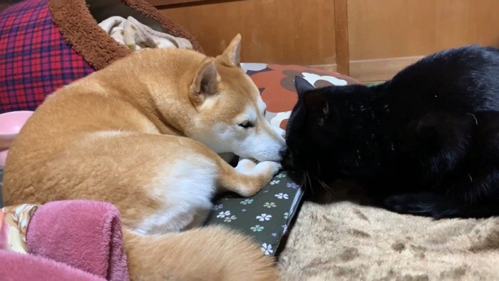 向き合うふたり(少し遠くから)