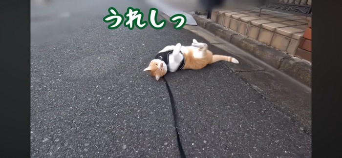 転がる